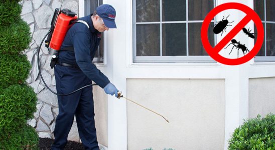 Arapgir Akrep İlaçlama böcek ilaçlama ve haşere kontrolü — ilaclama-tr.com